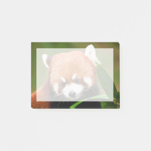 Cute Red Panda Post-it® Notes