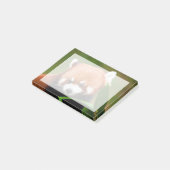 Cute Red Panda Post-it® Notes (Schuin)