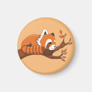 Cute Red Panda Resting in Tree Sleutelhanger Magneet