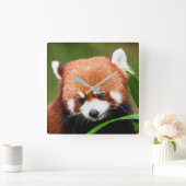 Cute Red Panda Vierkante Klok (Huis)