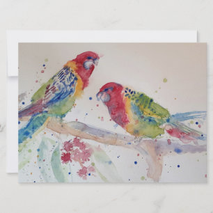 Cute Red Rosella Parrot vogel Waterverf Art