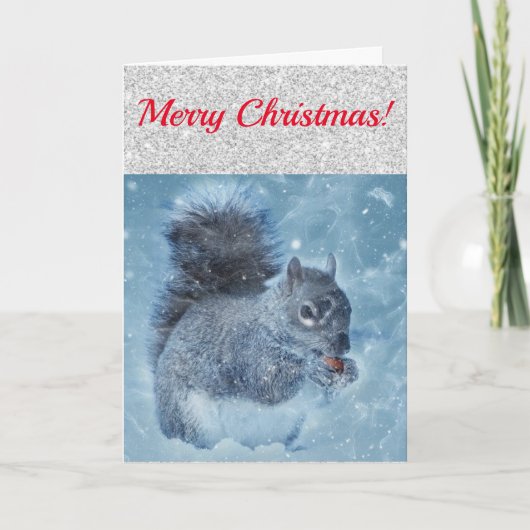 Cute Red Silver en Blue Squirrel Kaart (Voorkant)