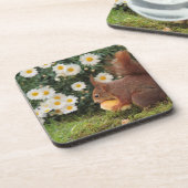 Cute Red Squirrel and Daisies Bier Onderzetter (Linkerzijde)