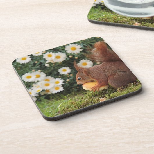 Cute Red Squirrel and Daisies Bier Onderzetter (Linkerzijde)