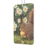 Cute Red Squirrel and Daisies Photo Luchtverfrisser (Links)