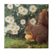 Cute Red Squirrel Daisies Ceramic Tile Tegeltje (Voorkant)
