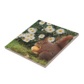 Cute Red Squirrel Daisies Ceramic Tile Tegeltje (Zijkant)