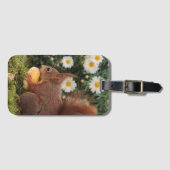 Cute Red Squirrel en Daisies Cute Photo Bagagelabel (Voorkant (horizontaal))