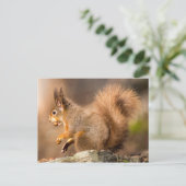 Cute Red Squirrel — noten Briefkaart (Staand voorkant)
