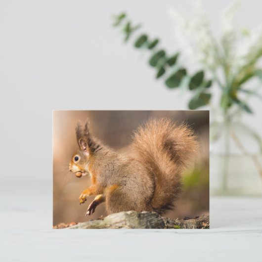 Cute Red Squirrel — noten Briefkaart (Staand voorkant)