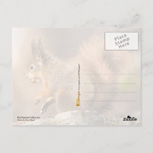 Cute Red Squirrel — noten Briefkaart (Achterkant)