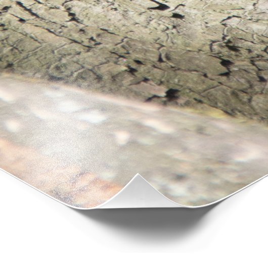 Cute red squirrel on a tree foto afdruk (Hoek)