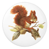 Cute Red Squirrel on Branch Keramische Knop (Voorkant)
