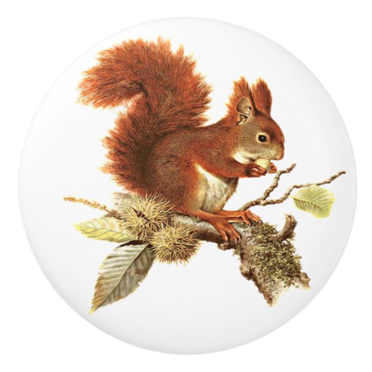 Cute Red Squirrel on Branch Keramische Knop (Voorkant)