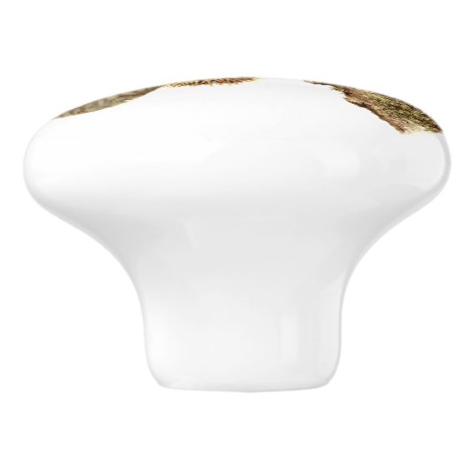 Cute Red Squirrel on Branch Keramische Knop (Zijkant)