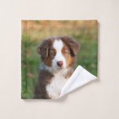 Cute Red Tri Australian Shepherd Dog Puppy Photo, Bad Handdoek (Wasdoekje)