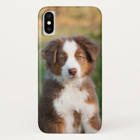 Cute Red Tri Australian Shepherd Dog Puppy Photo . Case-Mate iPhone Case (Achterkant)