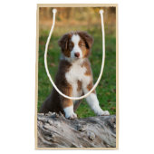 Cute Red Tri Australian Shepherd Dog Puppy Photo - Klein Cadeauzakje (Voorkant)