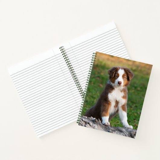Cute Red Tri Australian Shepherd Dog Puppy Photo - Notitieboek (Binnen)