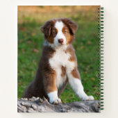Cute Red Tri Australian Shepherd Dog Puppy Photo - Notitieboek (Achterkant)