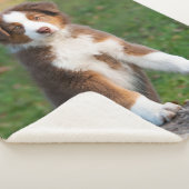 Cute Red Tri Australian Shepherd Dog Puppy Photo Sherpa Deken (3/4)