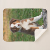 Cute Red Tri Australian Shepherd Dog Puppy Photo Sherpa Deken (Voorkant (horizontaal))