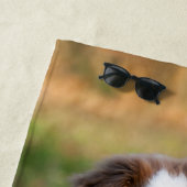 Cute Red Tri Australian Shepherd Dog Puppy Photo / Strandlaken (In situ)