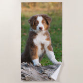 Cute Red Tri Australian Shepherd Dog Puppy Photo / Strandlaken (Voorkant)