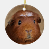 Cute Red & White Guinea Pig Ceramic Ornament (Voorkant)
