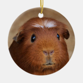 Cute Red & White Guinea Pig Ceramic Ornament