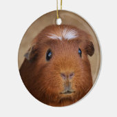 Cute Red & White Guinea Pig Ceramic Ornament (Links)