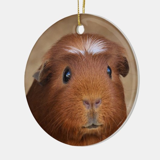 Cute Red & White Guinea Pig Ceramic Ornament (Links)