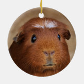 Cute Red & White Guinea Pig Ceramic Ornament (Achterkant)