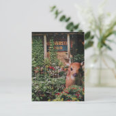 Cute Ree in de Tuin Collage Briefkaart (Staand voorkant)