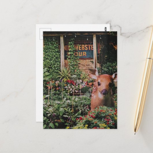 Cute Ree in de Tuin Collage Briefkaart (Voorkant / Achterkant in situ)