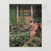 Cute Ree in de Tuin Collage Briefkaart (Voorkant)