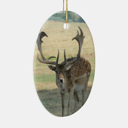 Cute Reindeer Keramisch Ornament (Rechts)