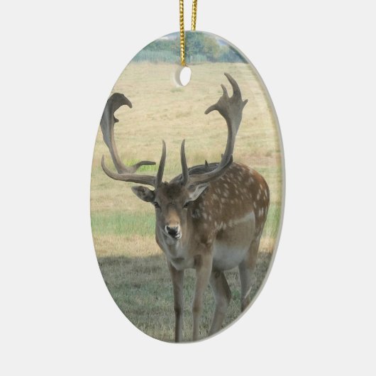 Cute Reindeer Keramisch Ornament (Links)