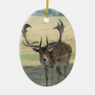 Cute Reindeer Keramisch Ornament