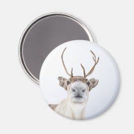 Cute Reindeer Natuur Foto Magneet
