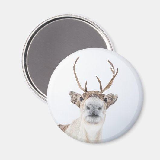 Cute Reindeer Natuur Foto Magneet (Voorkant / Achterkant)