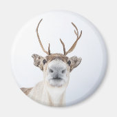 Cute Reindeer Natuur Foto Magneet (Voorkant)