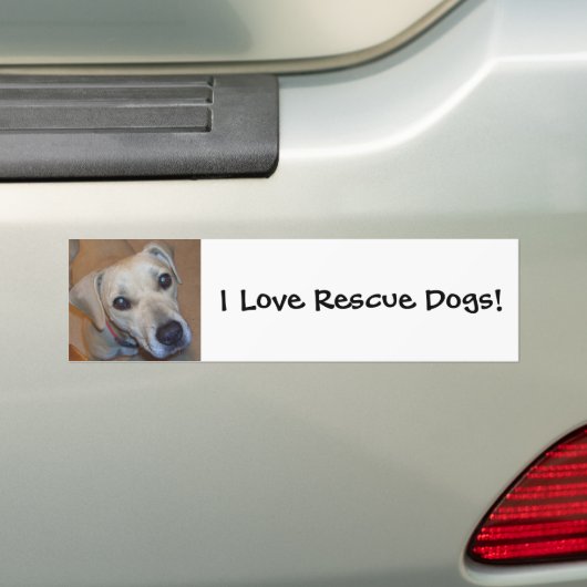 Cute Rescue Dog Bumpersticker (Op auto)