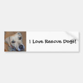 Cute Rescue Dog Bumpersticker (Voorkant)