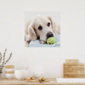 Cute Retriever Dog poster (Keuken)