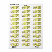 Cute Retro Pink Green Yellow Florence Pattern Etiket (Full Sheet)