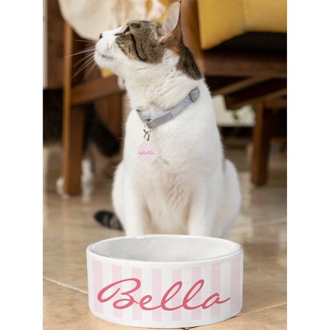Cute Retro Pink Stripes Cat Kat Pet Name Food Voerbakje (Cute Retro Pink Stripes Cat Kitty Pet Name Food Bowl)