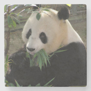 Cute reuzenpanda beer stenen onderzetter