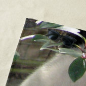 Cute reuzenpanda beer strandlaken (In situ)