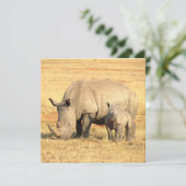 Cute rhinoceros in afrika (Staand voorkant)